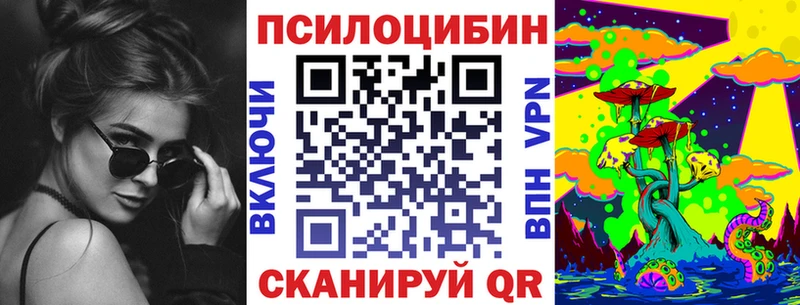 Купить  Киржач  Псилоцибиновые грибы Cubensis 